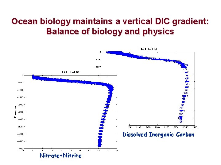 Ocean biology maintains a vertical DIC gradient: Balance of biology and physics Dissolved Inorganic