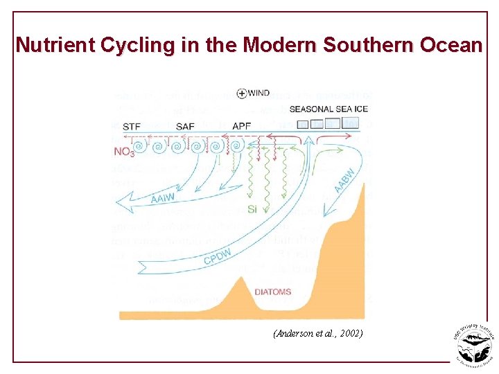Nutrient Cycling in the Modern Southern Ocean (Anderson et al. , 2002) 