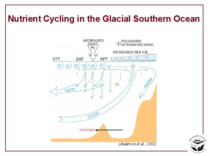 Nutrient Cycling in the Glacial Southern Ocean (Anderson et al. , 2002) 