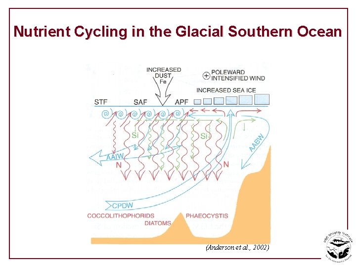 Nutrient Cycling in the Glacial Southern Ocean (Anderson et al. , 2002) 