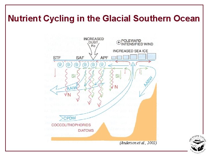Nutrient Cycling in the Glacial Southern Ocean (Anderson et al. , 2002) 