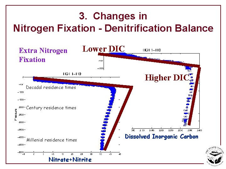 3. Changes in Nitrogen Fixation - Denitrification Balance Extra Nitrogen Fixation Lower DIC Higher