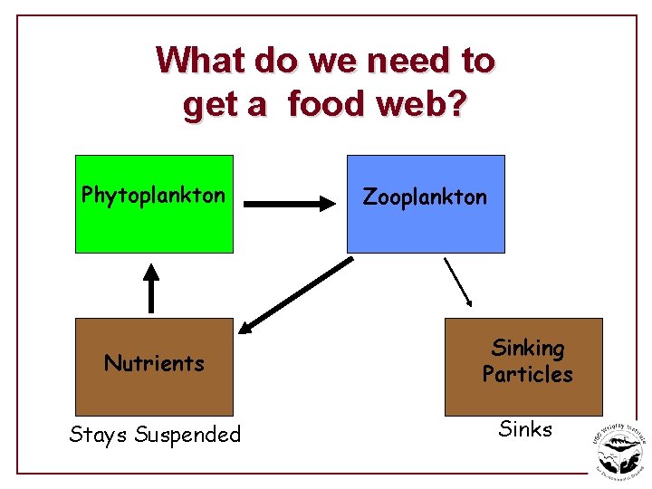 What do we need to get a food web? Phytoplankton Zooplankton Nutrients Sinking Particles