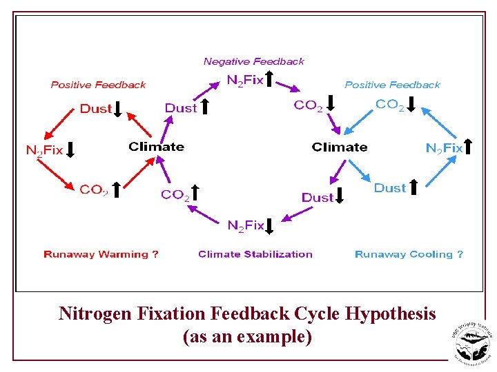 Nitrogen Fixation Feedback Cycle Hypothesis (as an example) 