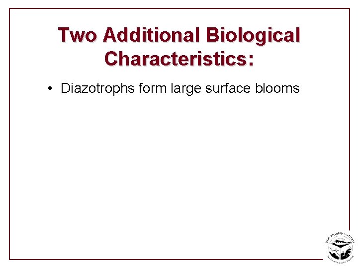 Two Additional Biological Characteristics: • Diazotrophs form large surface blooms 