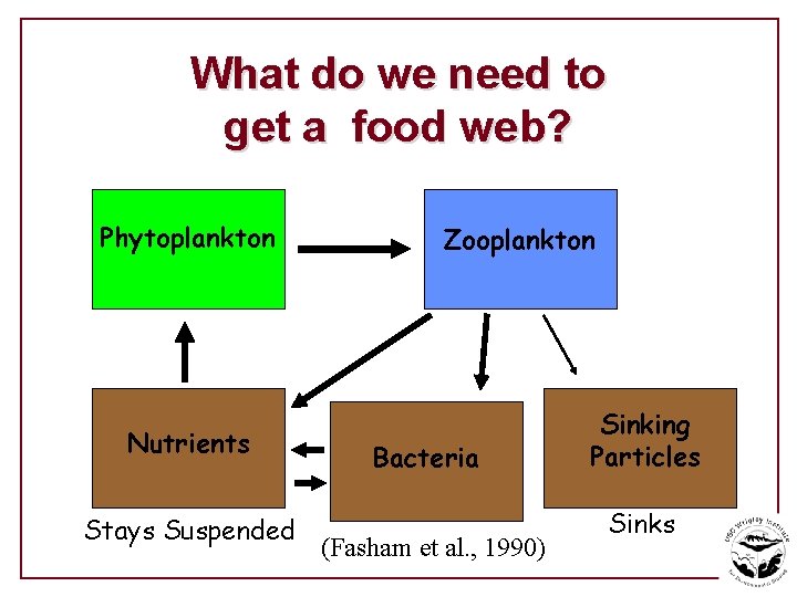 What do we need to get a food web? Phytoplankton Nutrients Stays Suspended Zooplankton