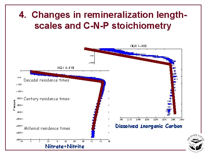4. Changes in remineralization lengthscales and C-N-P stoichiometry Decadal residence times Century residence times