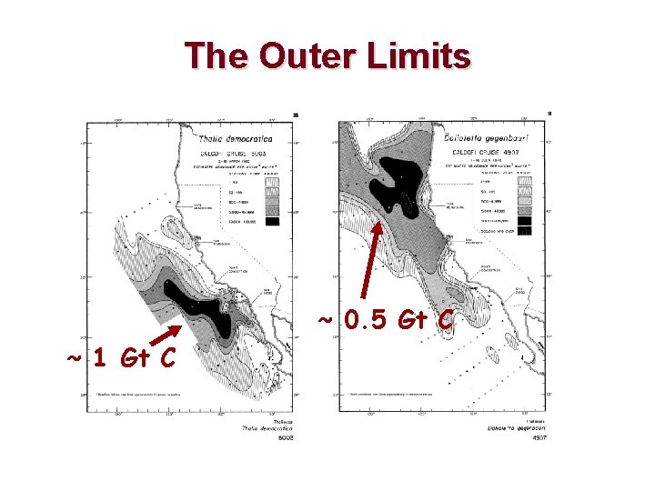 The Outer Limits ~ 0. 5 Gt C ~ 1 Gt C 