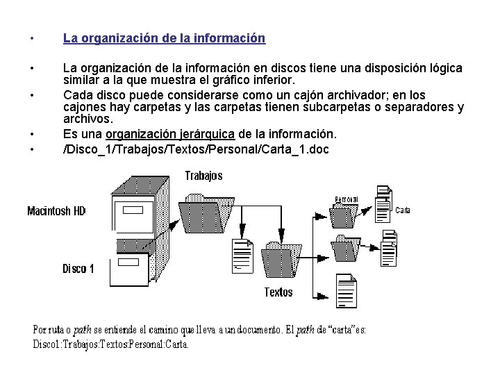 • La organización de la información en discos tiene una disposición lógica similar