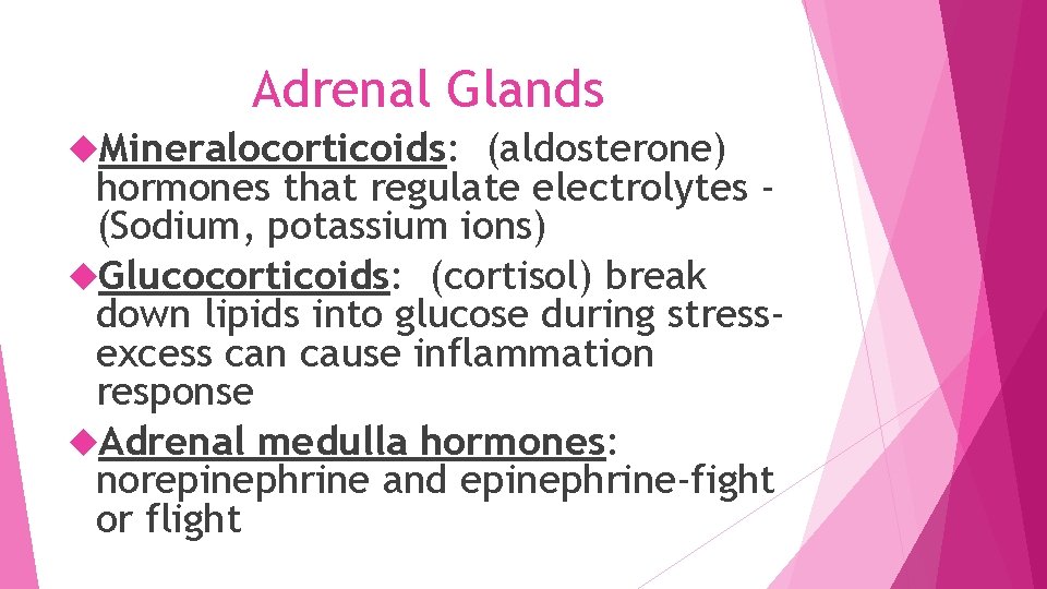 Adrenal Glands Mineralocorticoids: (aldosterone) hormones that regulate electrolytes (Sodium, potassium ions) Glucocorticoids: (cortisol) break