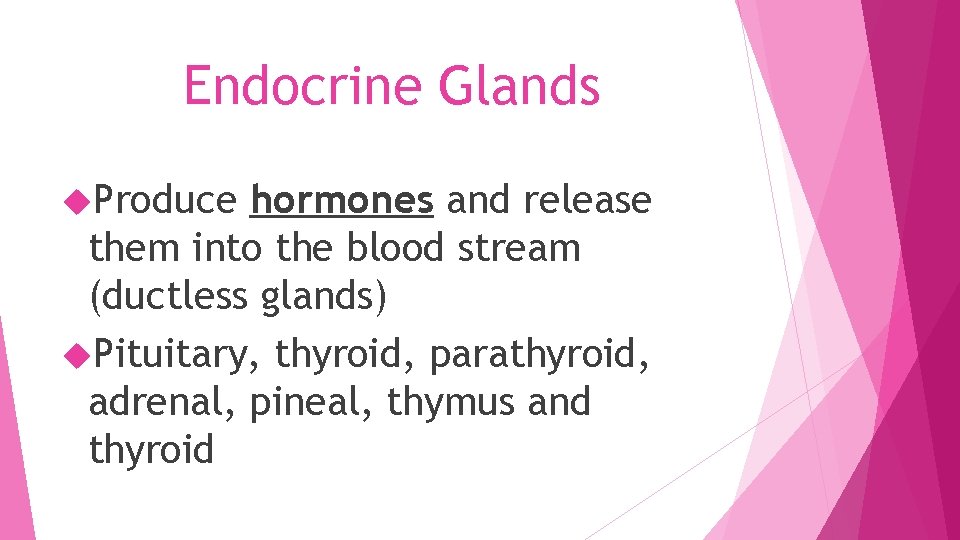 Endocrine Glands Produce hormones and release them into the blood stream (ductless glands) Pituitary,