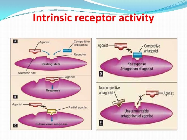 Intrinsic receptor activity 