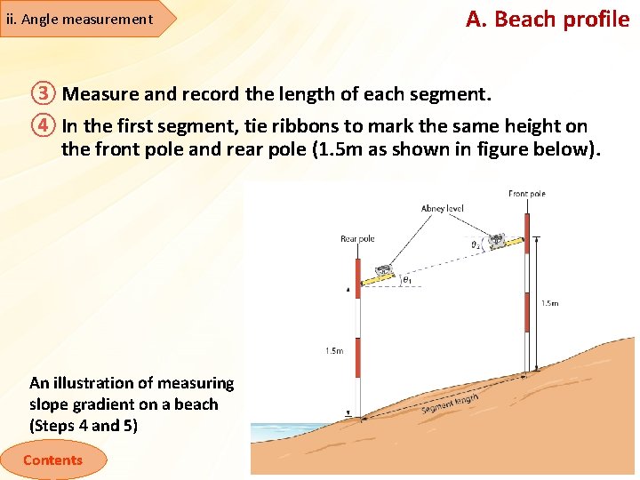 ii. Angle measurement A. Beach profile ③ Measure and record the length of each