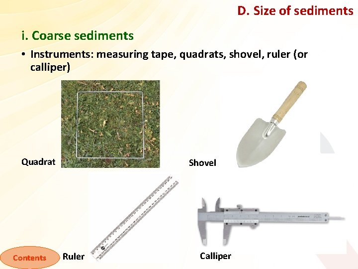 D. Size of sediments i. Coarse sediments • Instruments: measuring tape, quadrats, shovel, ruler