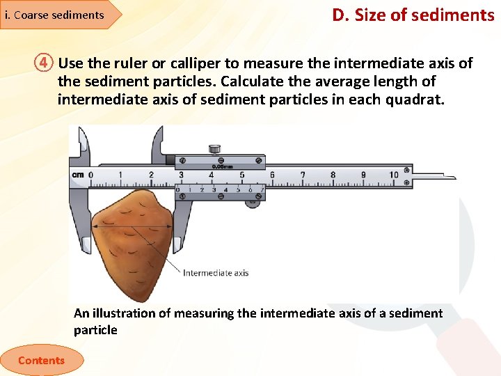 i. Coarse sediments D. Size of sediments ④ Use the ruler or calliper to