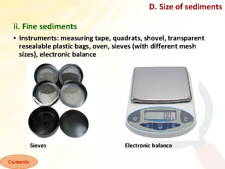 D. Size of sediments ii. Fine sediments • Instruments: measuring tape, quadrats, shovel, transparent