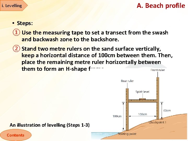 i. Levelling A. Beach profile • Steps: ① Use the measuring tape to set