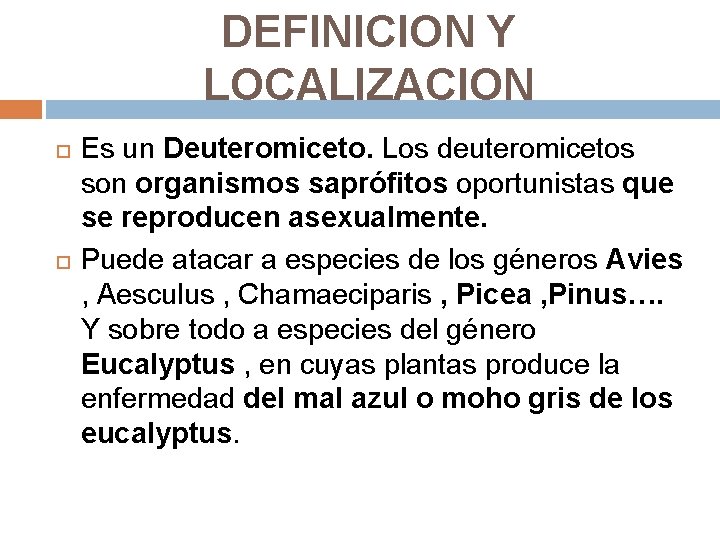 DEFINICION Y LOCALIZACION Es un Deuteromiceto. Los deuteromicetos son organismos saprófitos oportunistas que se