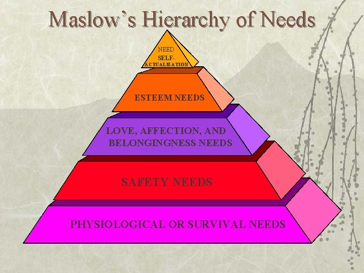 Maslow’s Hierarchy of Needs NEED SELFACTUALIZATION ESTEEM NEEDS LOVE, AFFECTION, AND BELONGINGNESS NEEDS SAFETY