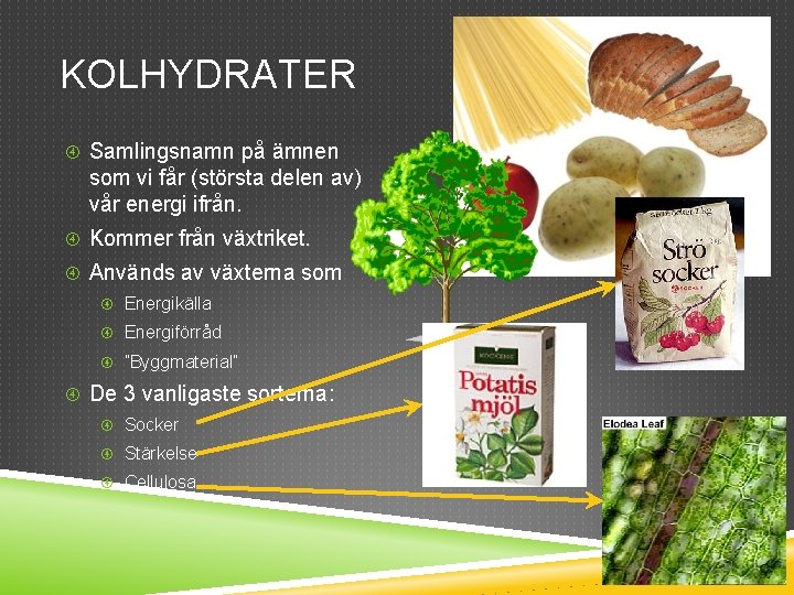 KOLHYDRATER Samlingsnamn på ämnen som vi får (största delen av) vår energi ifrån. Kommer