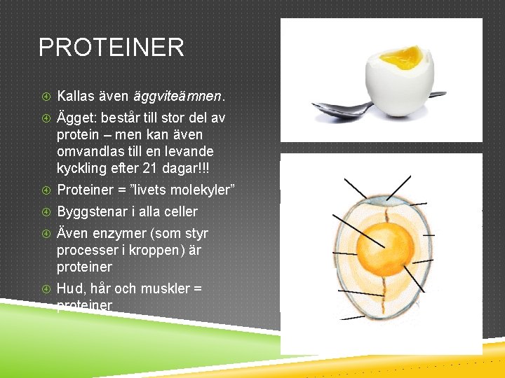 PROTEINER Kallas även äggviteämnen. Ägget: består till stor del av protein – men kan