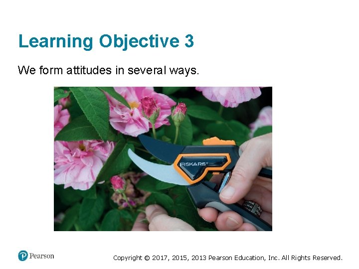 Learning Objective 3 We form attitudes in several ways. Copyright © 2017, 2015, 2013