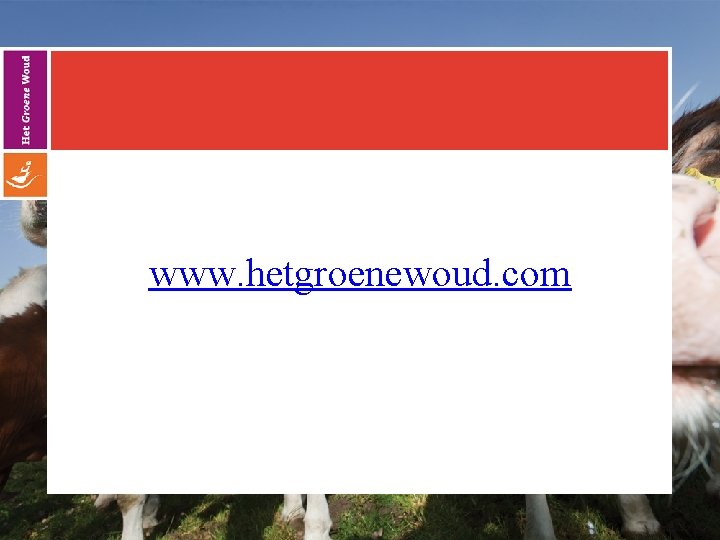 www. hetgroenewoud. com 