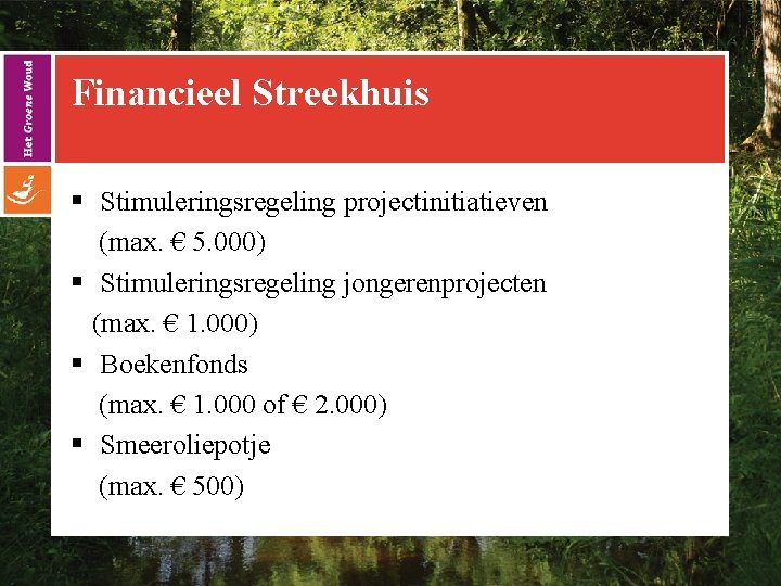 Financieel Streekhuis § Stimuleringsregeling projectinitiatieven (max. € 5. 000) § Stimuleringsregeling jongerenprojecten (max. €