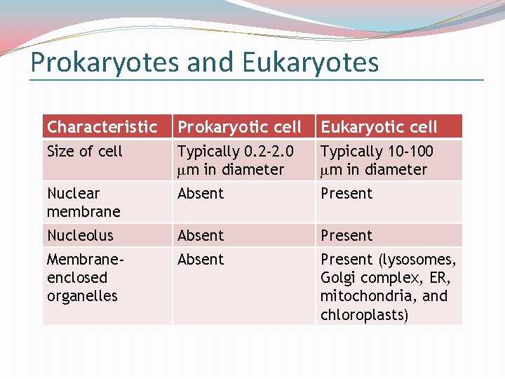 Prokaryotes and Eukaryotes Characteristic Prokaryotic cell Eukaryotic cell Size of cell Typically 0. 2