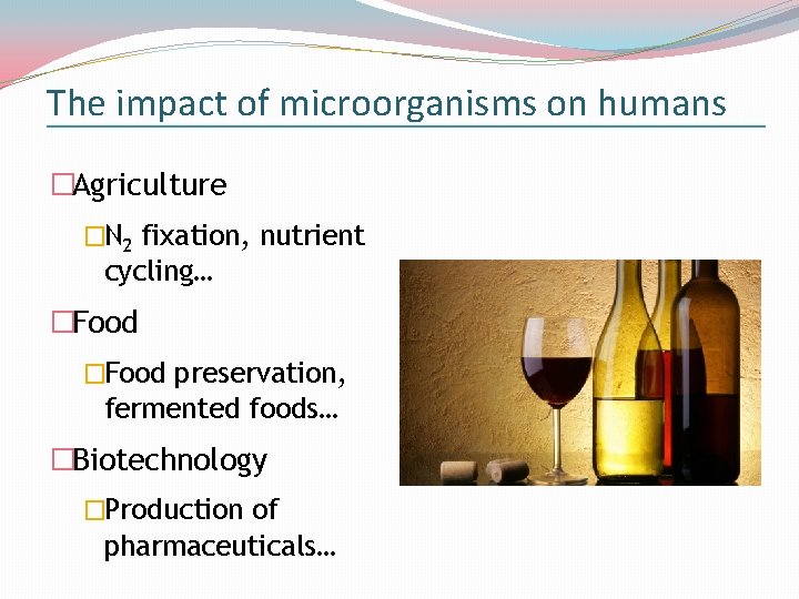 The impact of microorganisms on humans �Agriculture �N 2 fixation, nutrient cycling… �Food preservation,