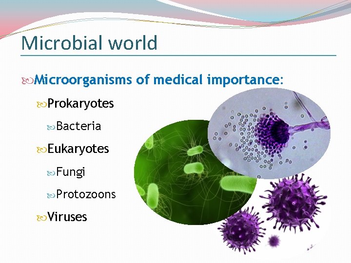 Microbial world Microorganisms of medical importance: Prokaryotes Bacteria Eukaryotes Fungi Protozoons Viruses 