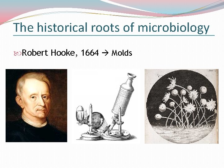 The historical roots of microbiology Robert Hooke, 1664 Molds 