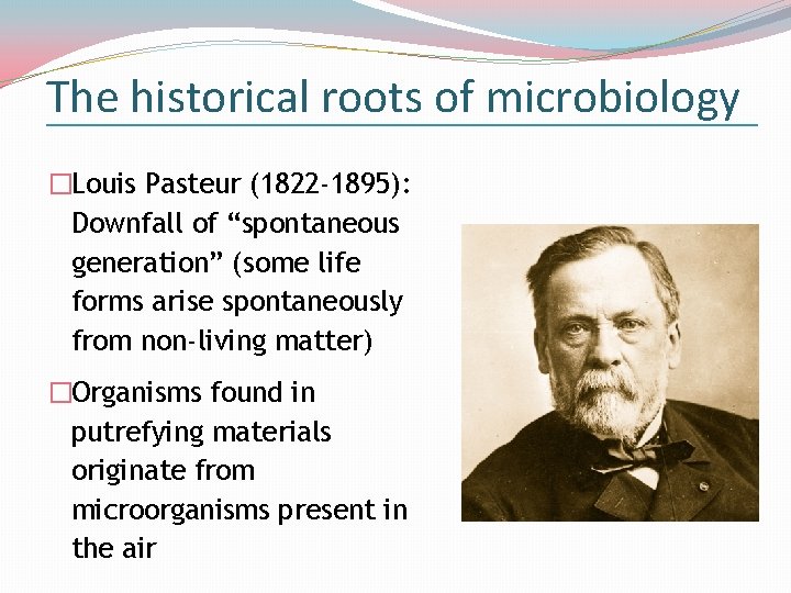 The historical roots of microbiology �Louis Pasteur (1822 -1895): Downfall of “spontaneous generation” (some