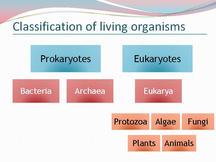 Classification of living organisms Prokaryotes Bacteria Archaea Eukaryotes Eukarya Protozoa Algae Plants Fungi Animals