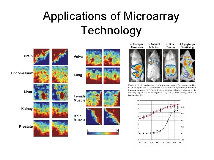 Applications of Microarray Technology 