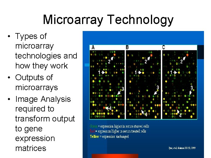 Microarray Technology • Types of microarray technologies and how they work • Outputs of