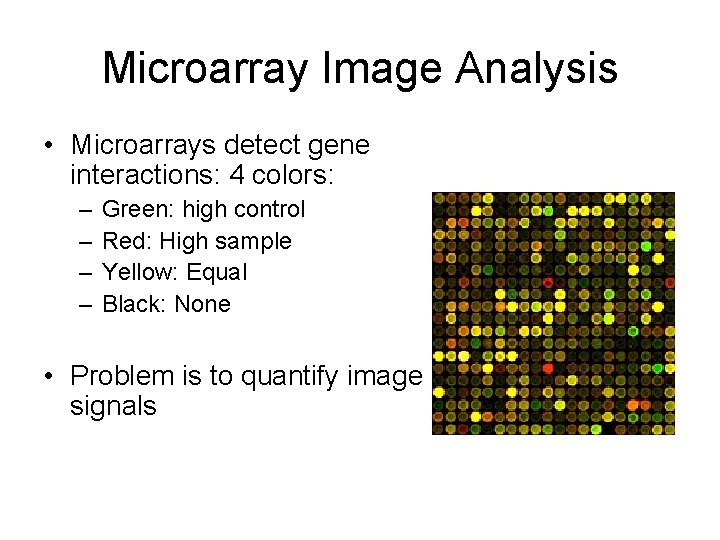 Microarray Image Analysis • Microarrays detect gene interactions: 4 colors: – – Green: high