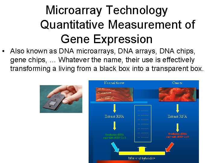 Microarray Technology Quantitative Measurement of Gene Expression • Also known as DNA microarrays, DNA