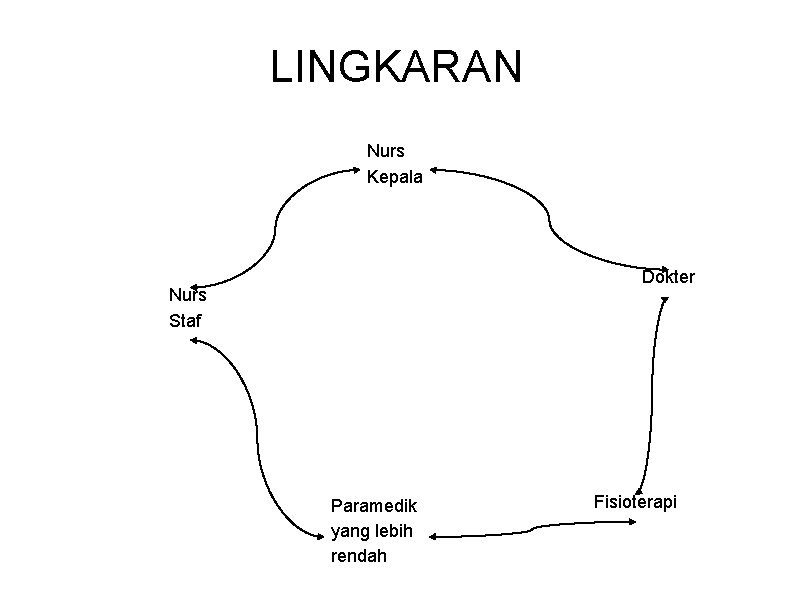 LINGKARAN Nurs Kepala Dokter Nurs Staf Paramedik yang lebih rendah Fisioterapi 