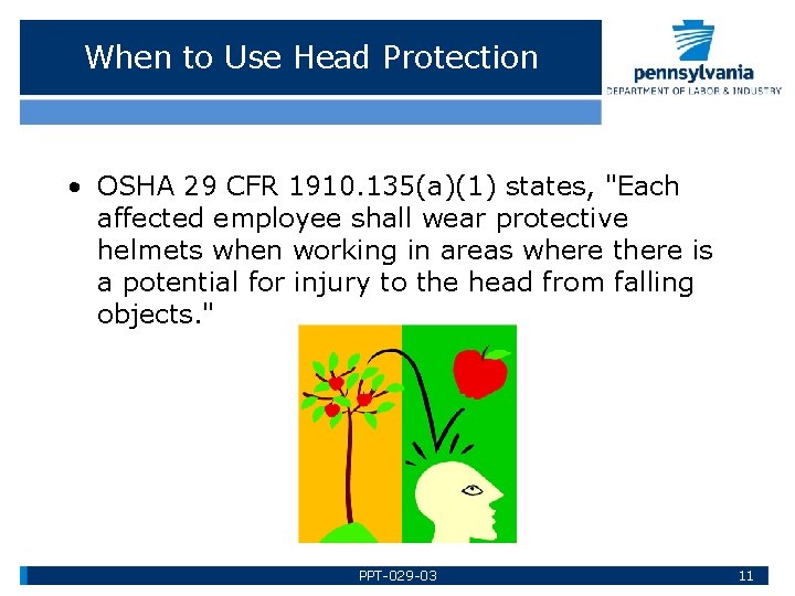 When to Use Head Protection • OSHA 29 CFR 1910. 135(a)(1) states, "Each affected