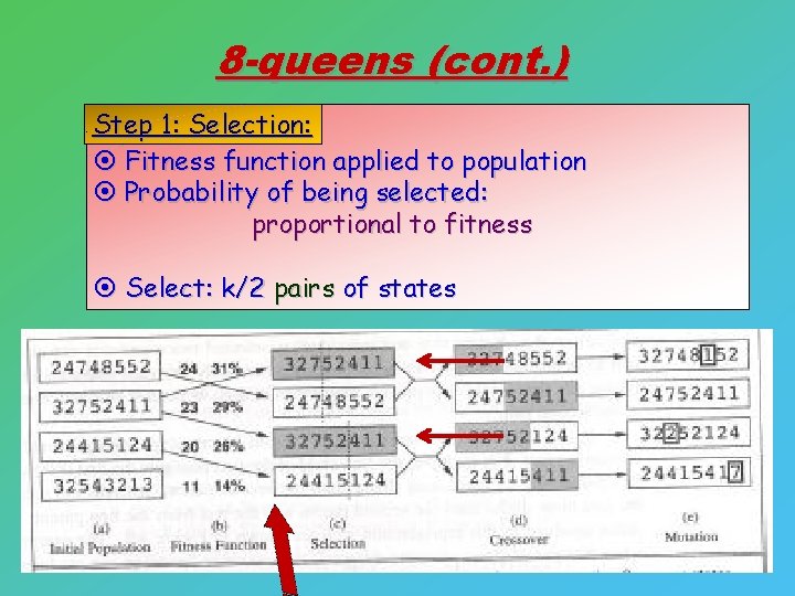 8 -queens (cont. ) Step 1: Selection: ¤ Fitness function applied to population ¤