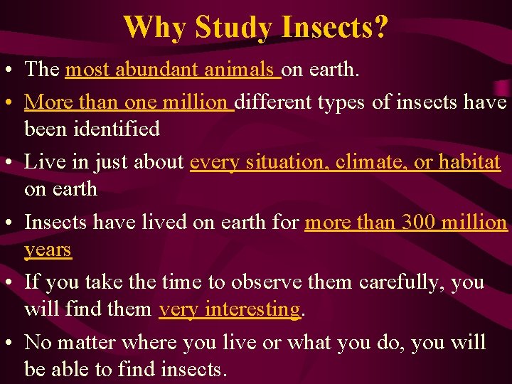 Why Study Insects? • The most abundant animals on earth. • More than one