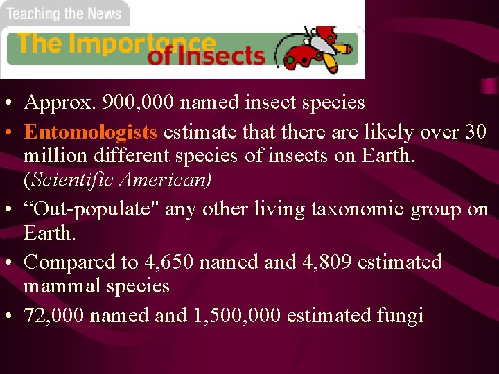  • Approx. 900, 000 named insect species • Entomologists estimate that there are