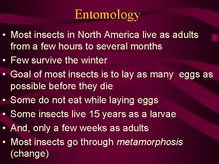 Entomology • Most insects in North America live as adults from a few hours