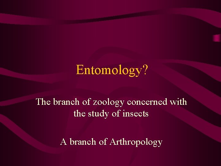 Entomology? The branch of zoology concerned with the study of insects A branch of