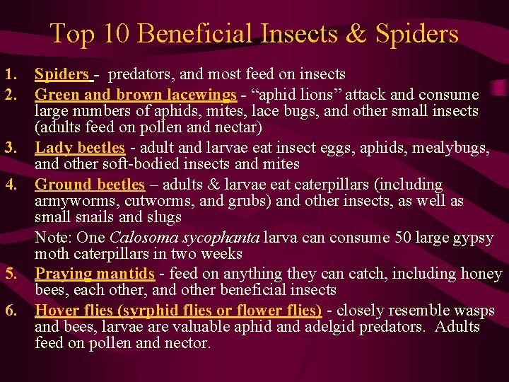 Top 10 Beneficial Insects & Spiders 1. Spiders - predators, and most feed on
