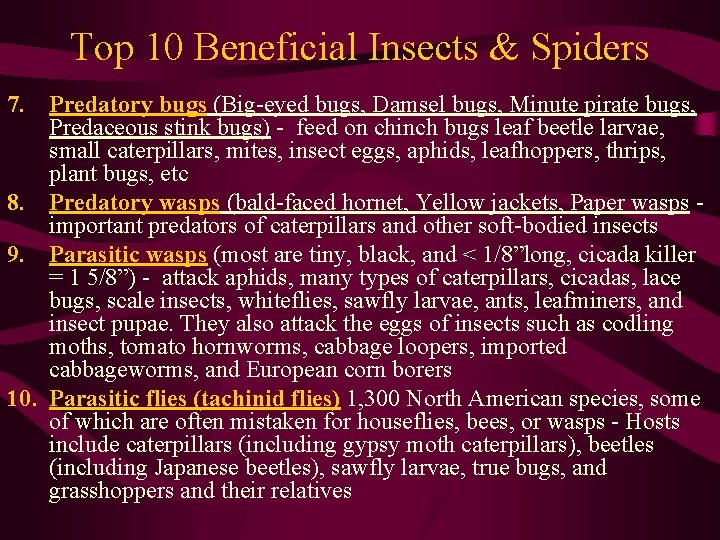 Top 10 Beneficial Insects & Spiders 7. Predatory bugs (Big-eyed bugs, Damsel bugs, Minute