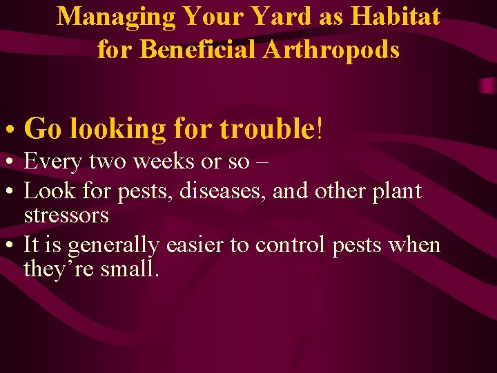 Managing Your Yard as Habitat for Beneficial Arthropods • Go looking for trouble! •
