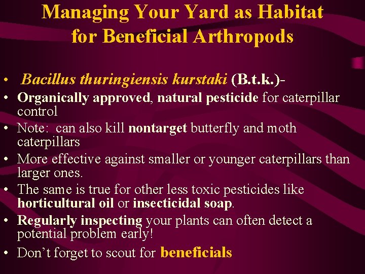 Managing Your Yard as Habitat for Beneficial Arthropods • Bacillus thuringiensis kurstaki (B. t.