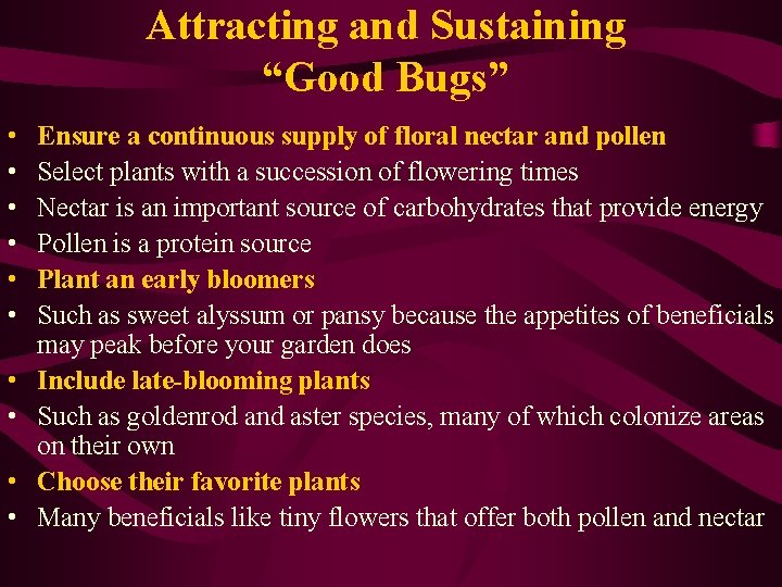 Attracting and Sustaining “Good Bugs” • • • Ensure a continuous supply of floral